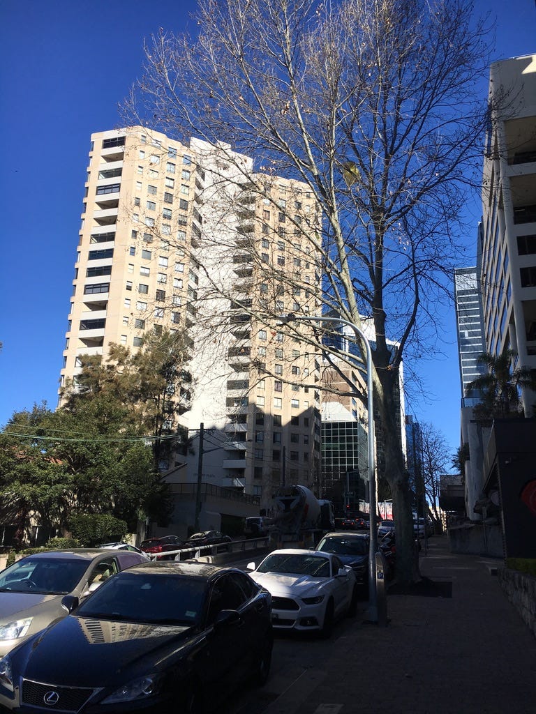 程式訓練營第一週成功生存