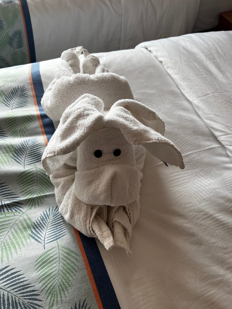 郵輪房務毛巾造型動物