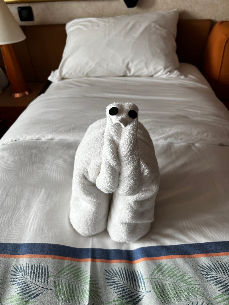 郵輪房務創意毛巾恐龍造型