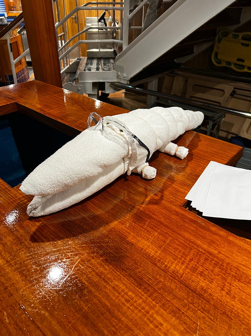 郵輪房務創意毛巾鱷魚