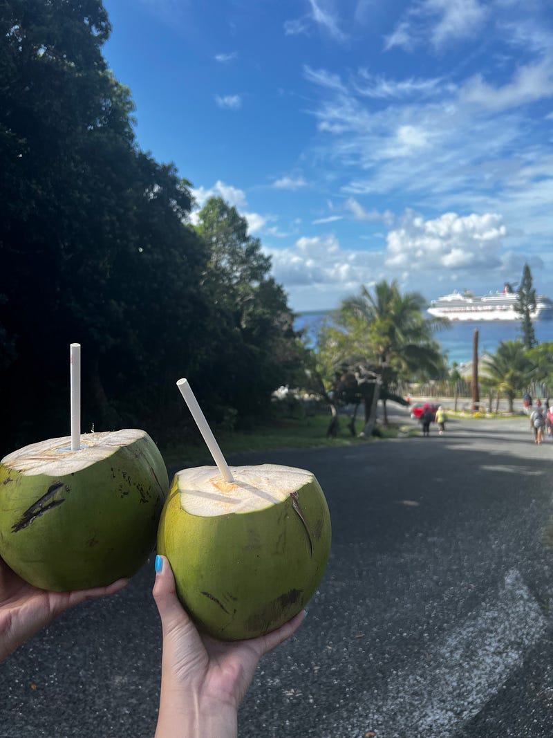 Lifou島椰子飲品乾杯