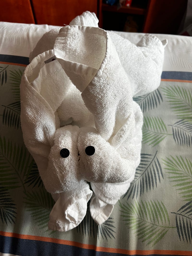 郵輪房務創意毛巾兔子