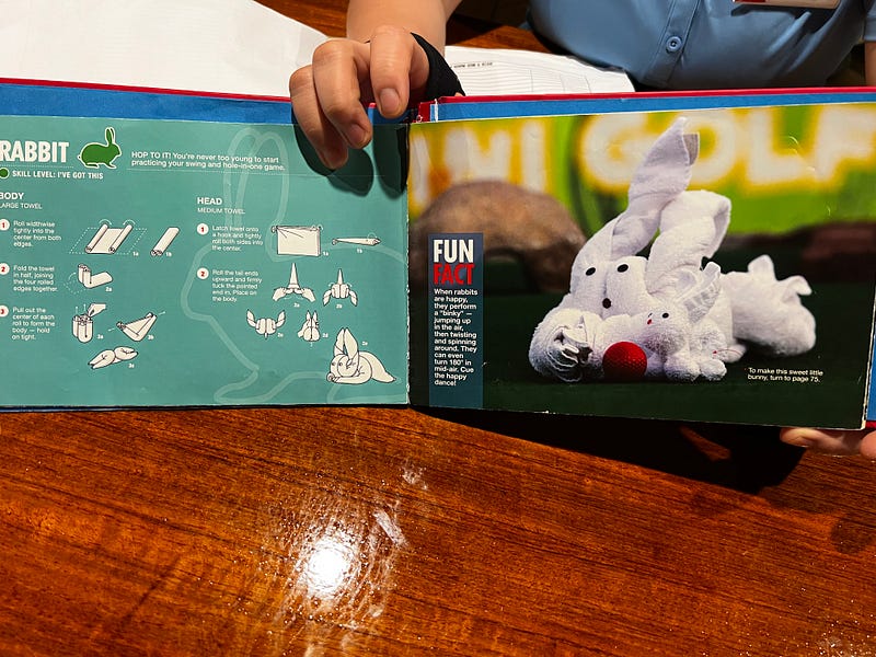 郵輪房務毛巾兔子造型