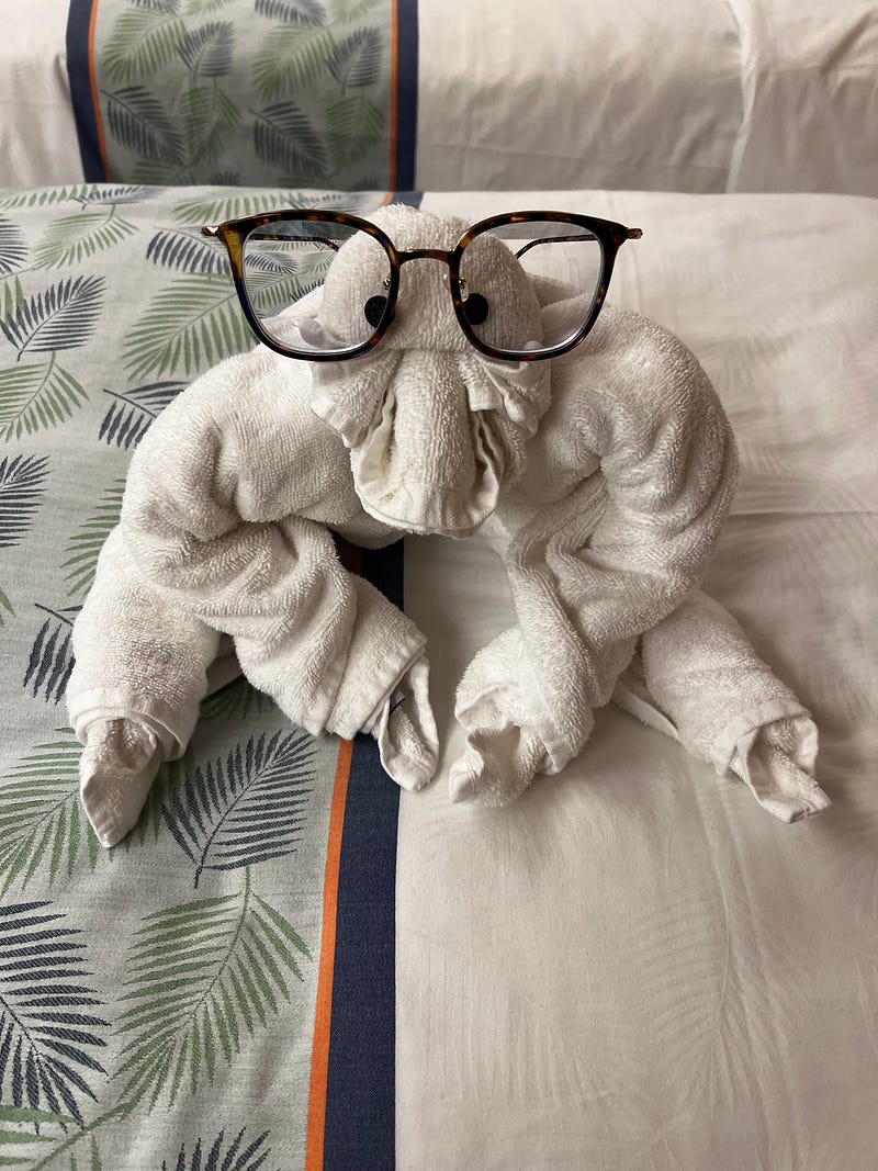 郵輪房務創意毛巾猩猩