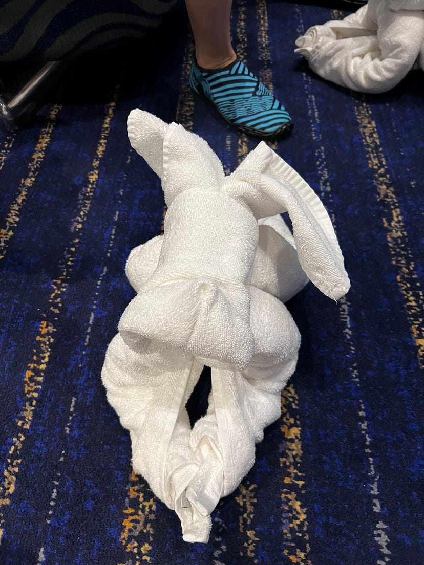 郵輪毛巾折疊教學作品