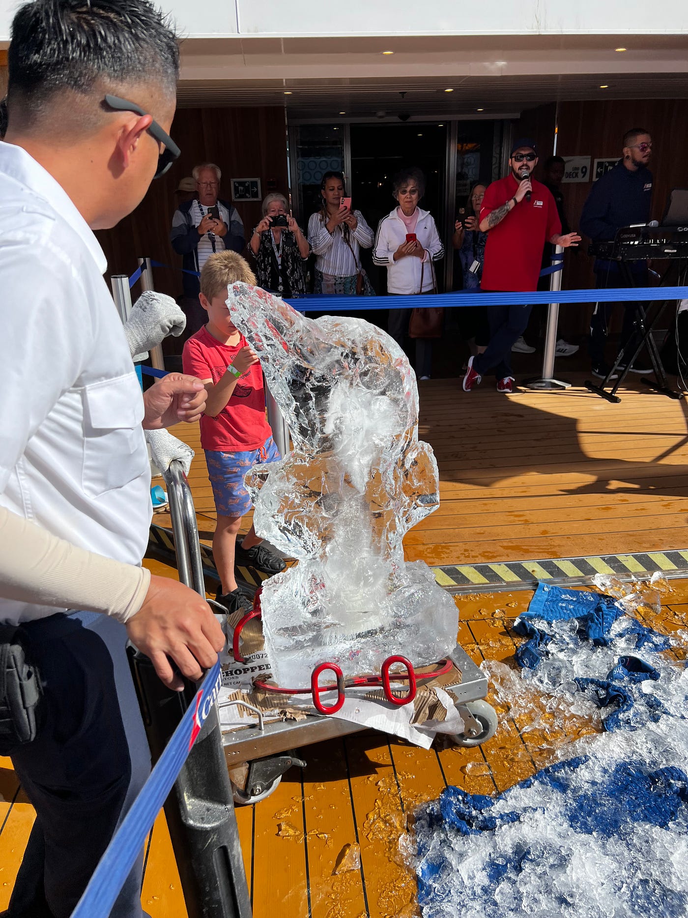 郵輪現場冰雕海豚表演