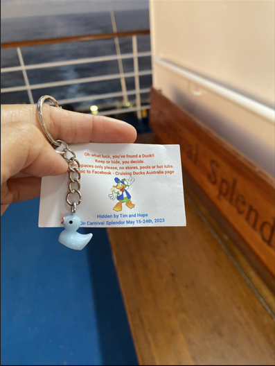 遊客發現小鴨分享照片