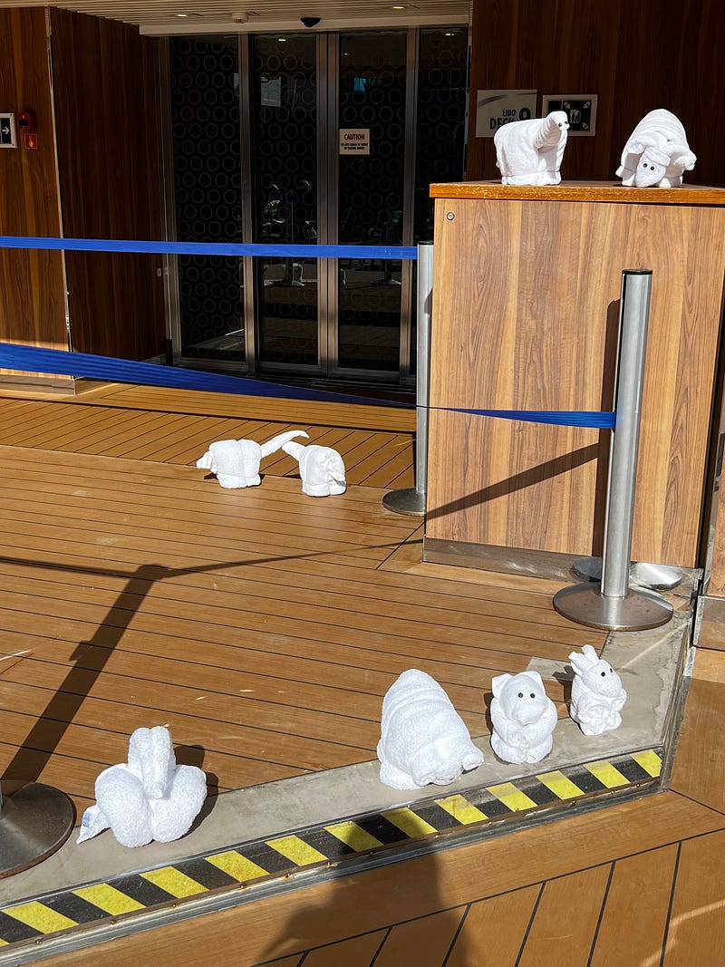 郵輪房務毛巾動物展示