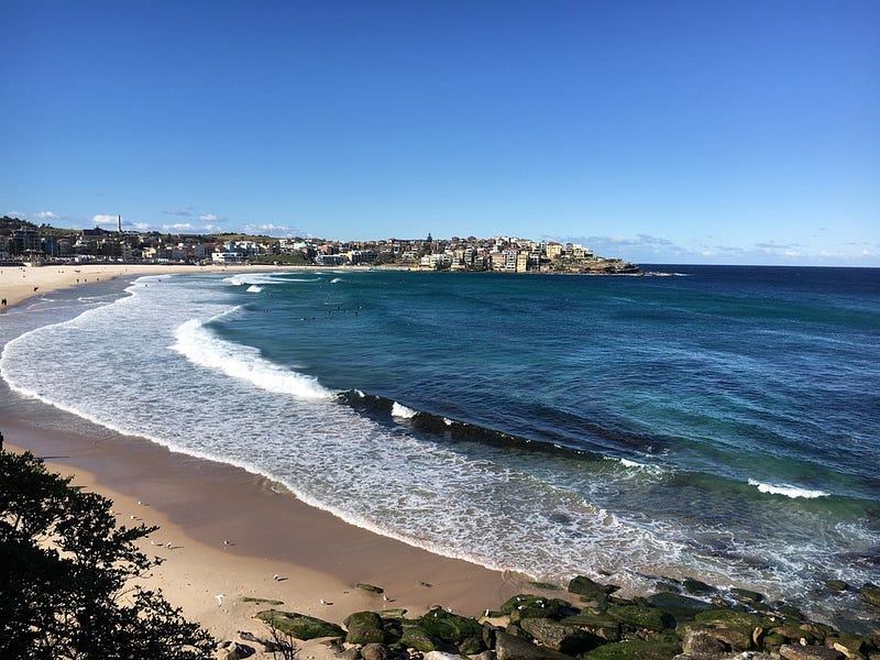 澳洲邦代海灘悉尼生活