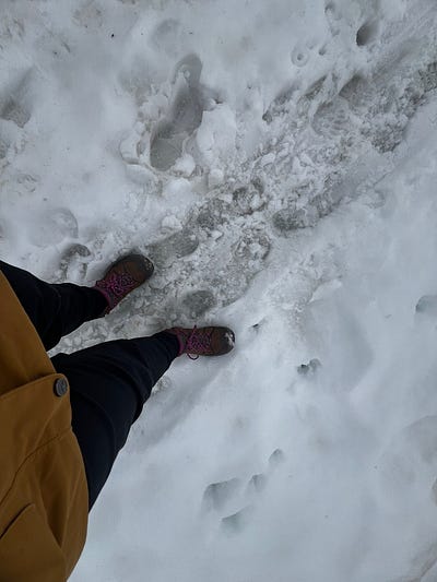 Trubsee湖雪白湖面景色