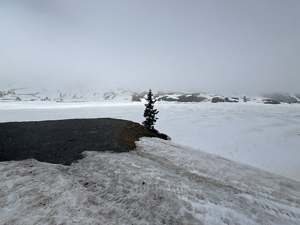瑞士中部雪地健行體驗