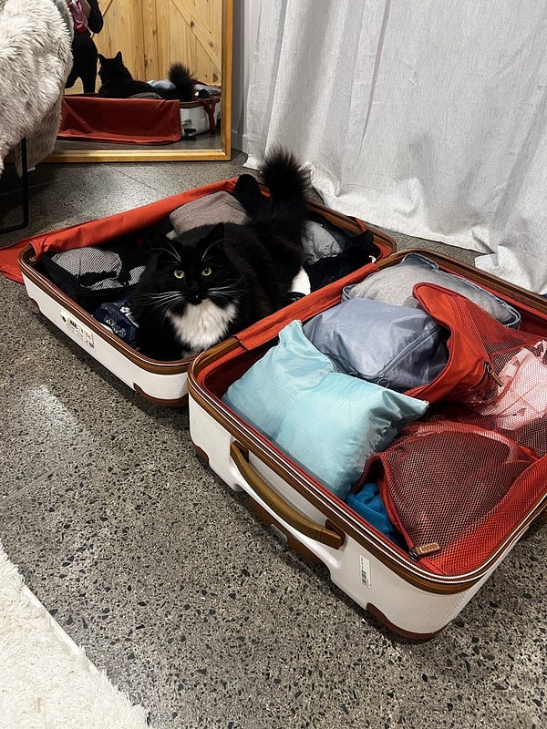 紐西蘭特色巧克力伴手禮