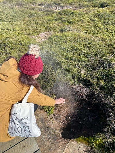 地熱公園火山口奇觀