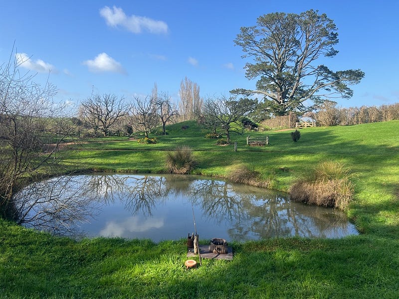 紐西蘭北島深山風景