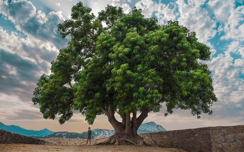 好想要退休!錢財乃身外之物,生不帶來,死不帶去,但你知道在澳洲要怎麼立遺屬嗎?