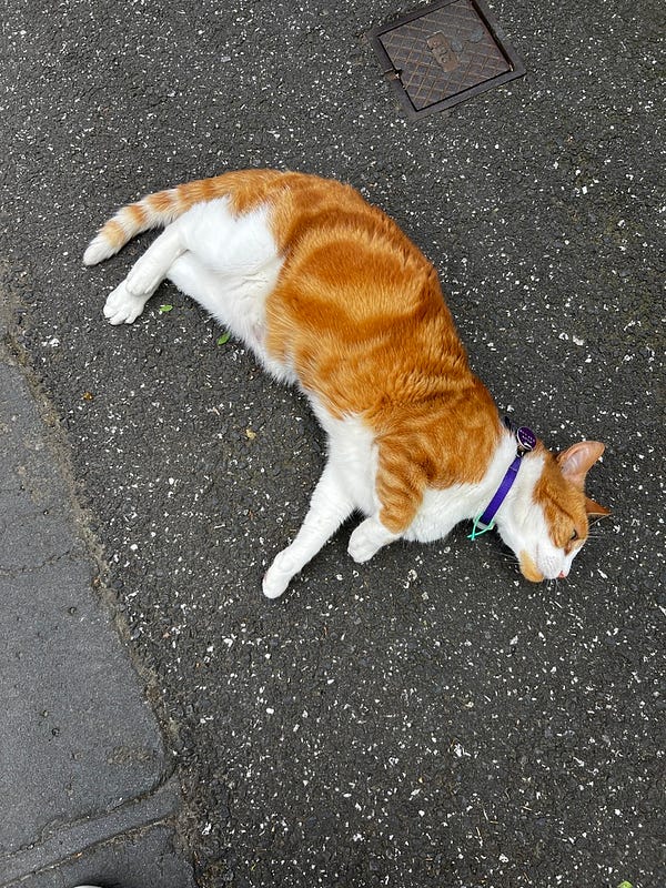Fitzroy market 手工藝品攤位