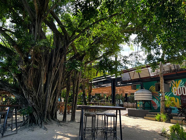 太平洋海邊風情