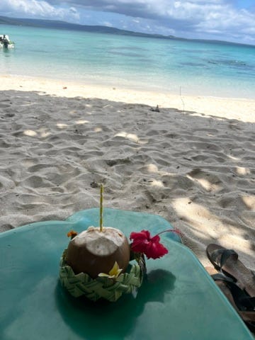 Pele Island 迎賓椰子水