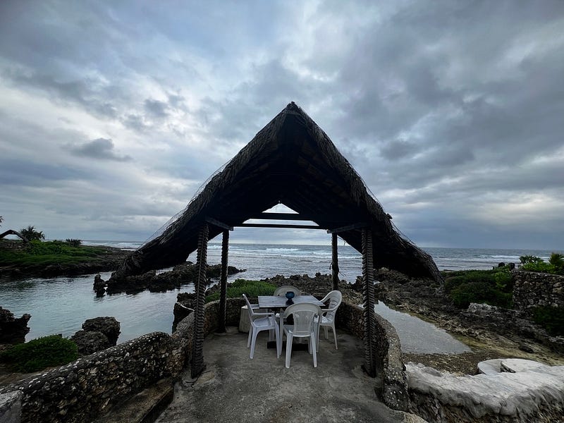 小屋屋頂裝飾花朵