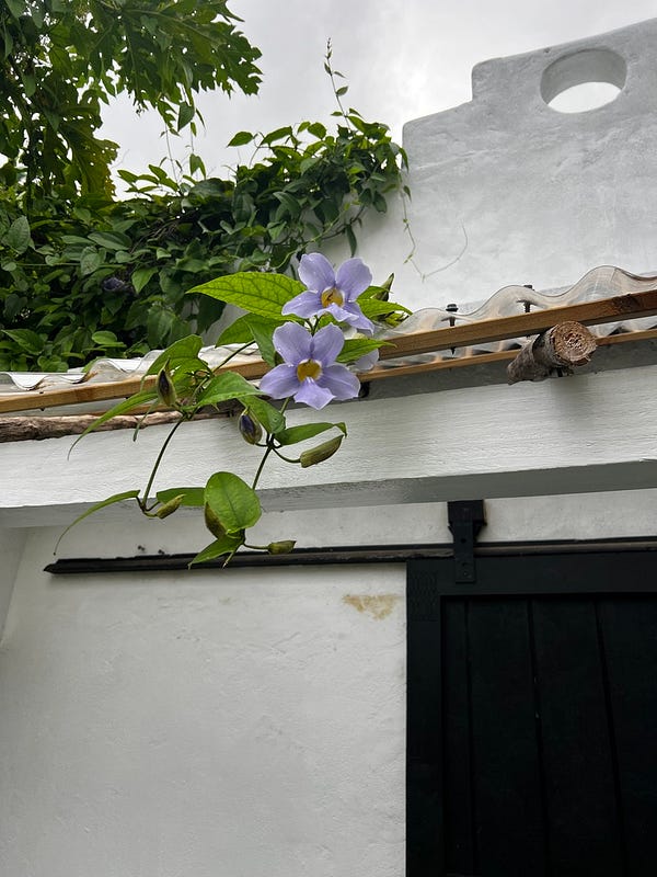 度假村小屋門口風景