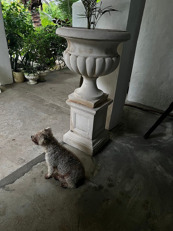 暴雨中的太平洋海景