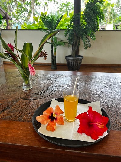 島上度假村設施