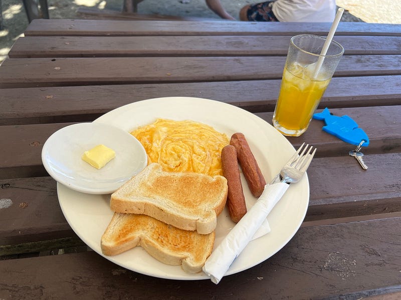 蚊子大軍圍攻用餐
