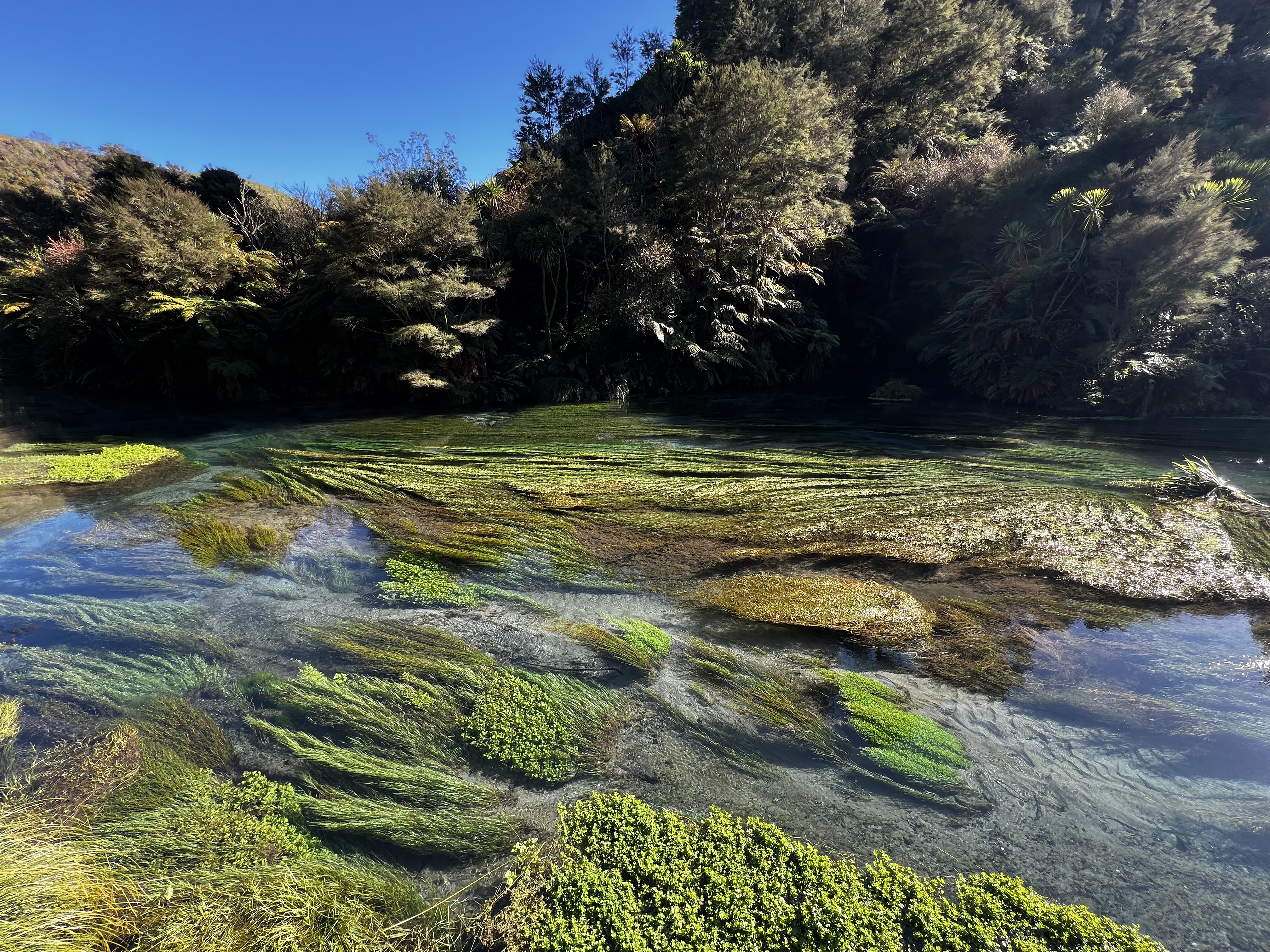 紐西蘭北島滑雪之旅(上集)：2025.08.10-08.15 滑雪之外的 400 公里自駕與溫泉天堂